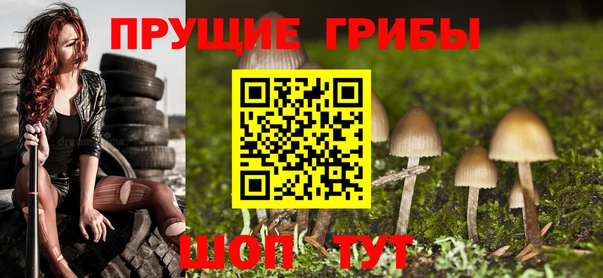 Галлюциногенные грибы ЛСД  Вход с VPN  Галлюциногенные грибы Psilocybe  Ялуторовск 