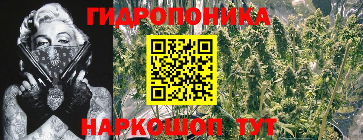 Шишки марихуана ГИДРОПОН Ялуторовск